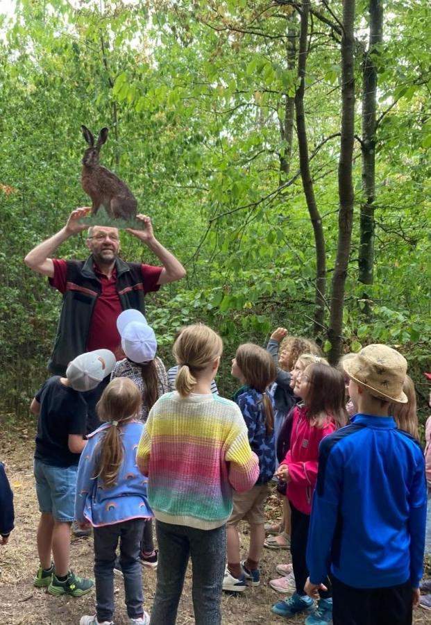 Lesenachmittag im Wald